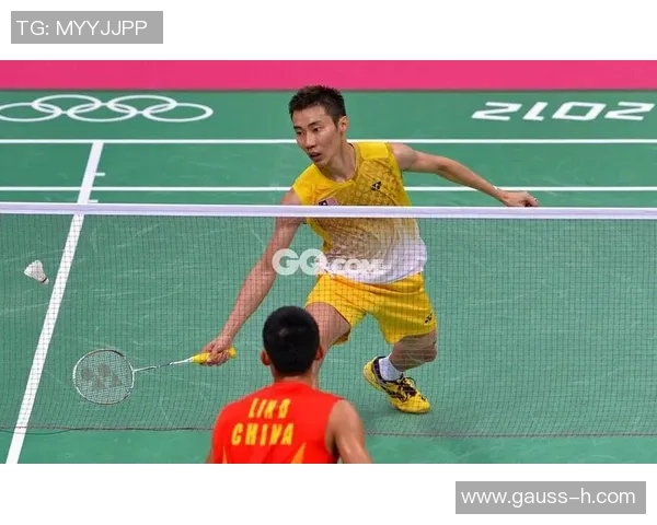 武汉羽毛球队与成都羽毛球队赛后战术分析与复盘探讨